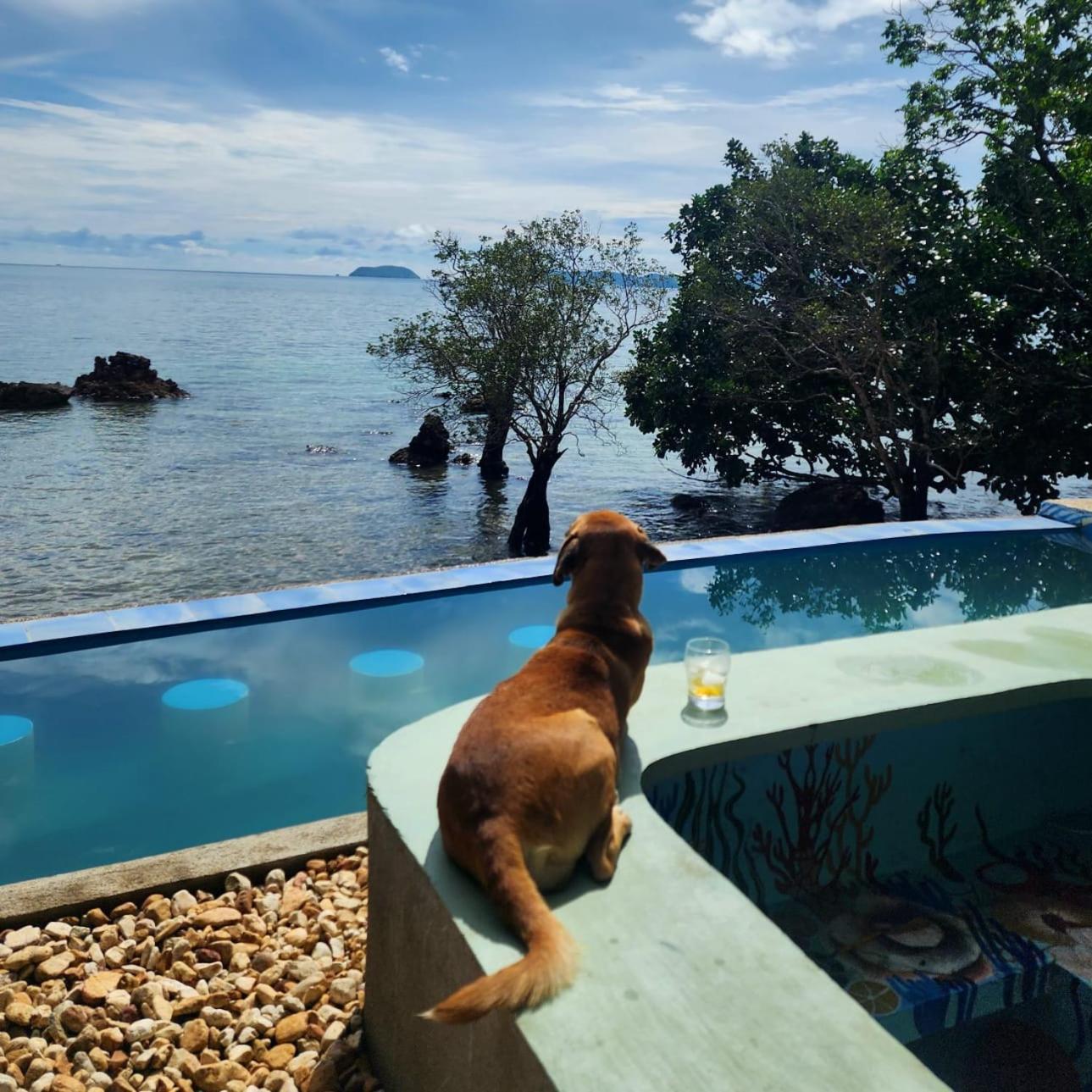 Cocovana Beach Resort (Adults Only) บูซวงกา ภายนอก รูปภาพ